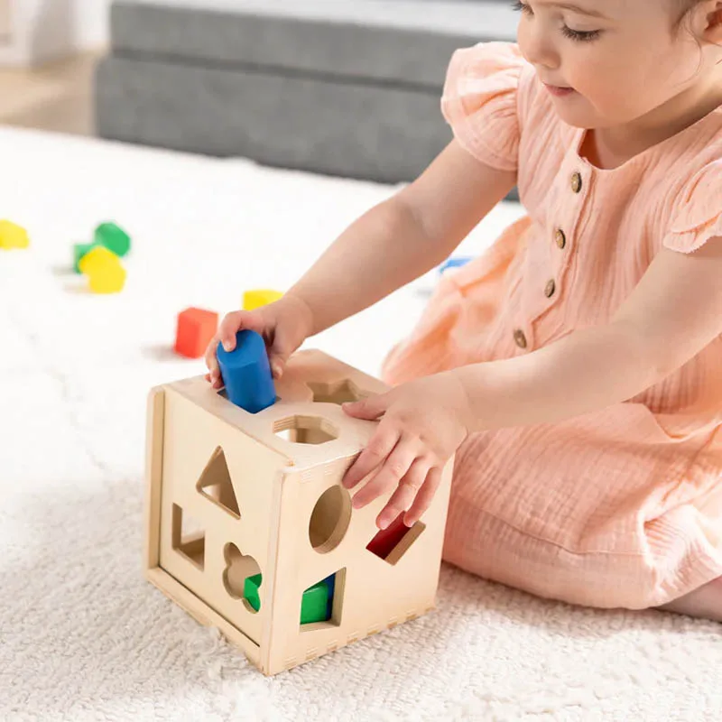 Fifteen Hole Shape Intelligence Box for Kids | Wooden Shape Sorting Montessori Toy thumbnail 5