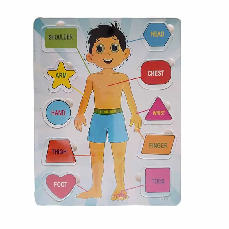 Wooden human anatomy puzzle board thumbnail 2
